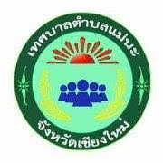 Customer Logo