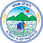 Customer Logo